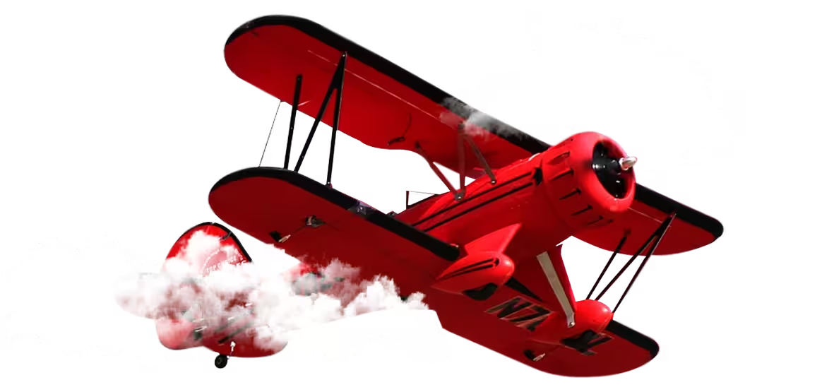 Pepeta Aviator plane artwork